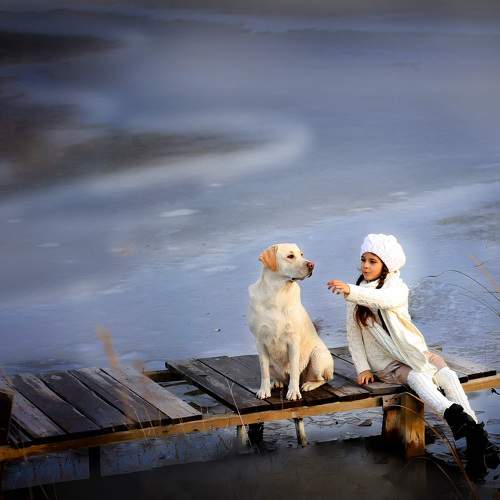 Photo #5973675