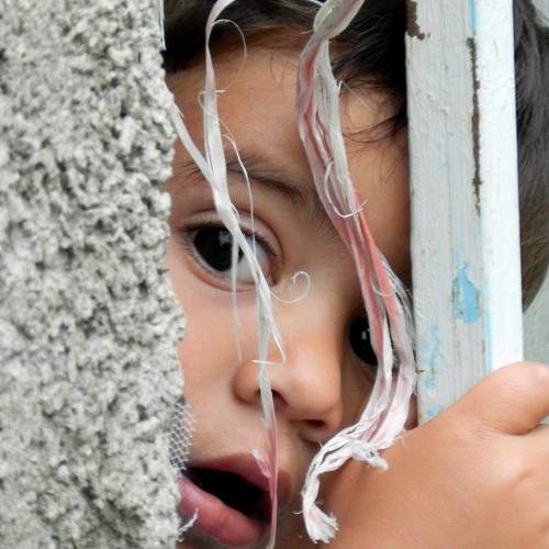 Photo #5973920