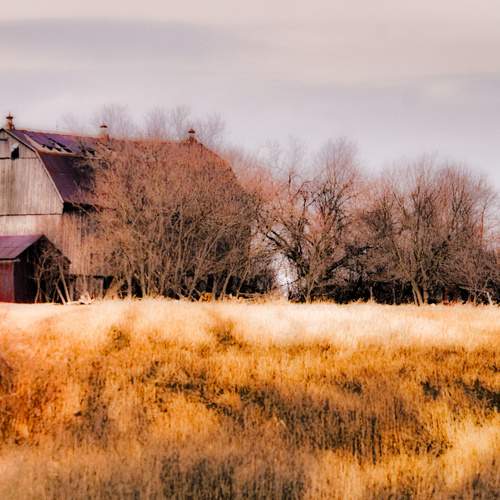 Photo #5974576