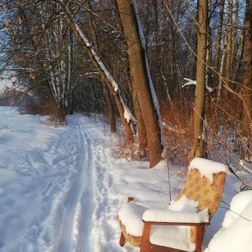 Photo #5975380