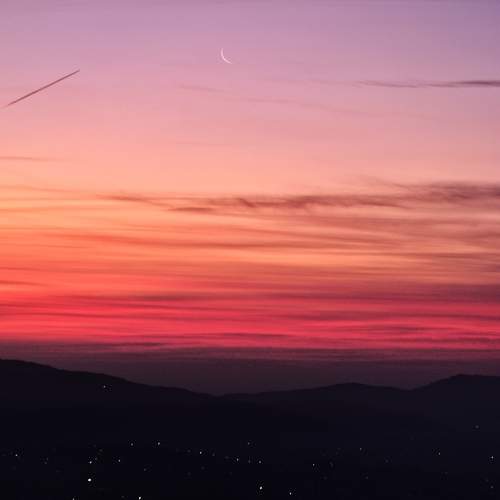 Photo #5976008