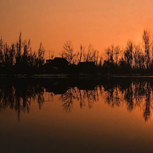 Photo #5976009