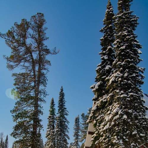 Photo #5976038