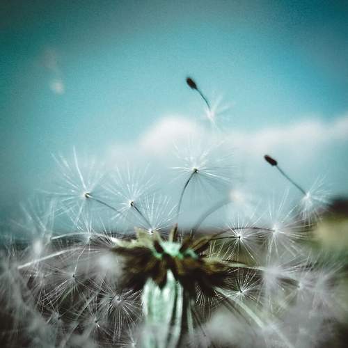 Photo #5976091