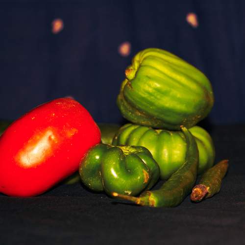 Photo #5976187