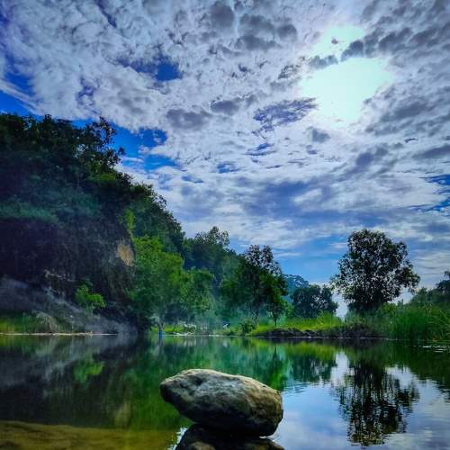 Photo #5976210