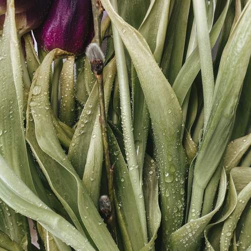 Photo #5976539