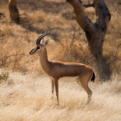 Photo #5976555