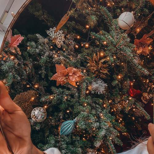 Photo #5976565