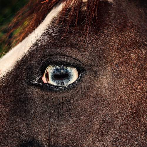 Photo #5976924