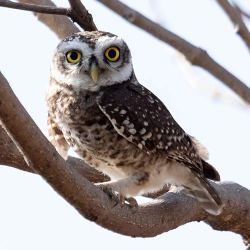 Photo #5976954