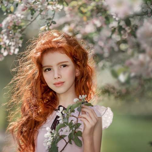 Photo #5977020