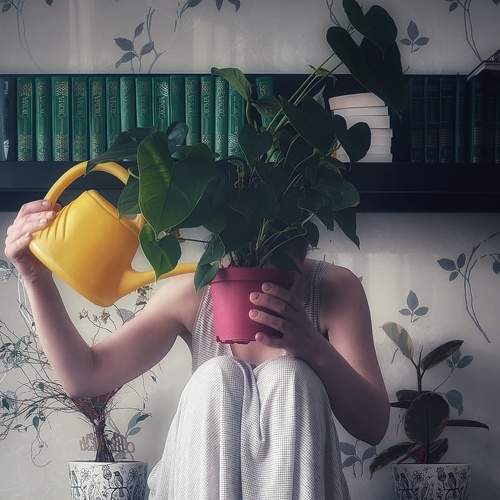 Photo #5977052