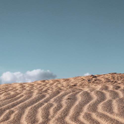 Photo #5977112