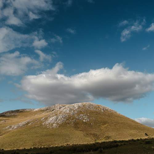 Photo #5977113
