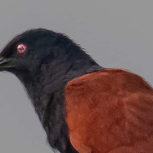 Photo #5977334