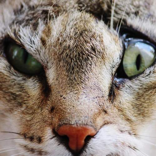 Photo #5977452