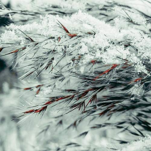 Мир наизнанку