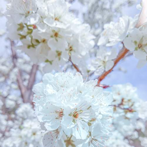 Photo #5977612
