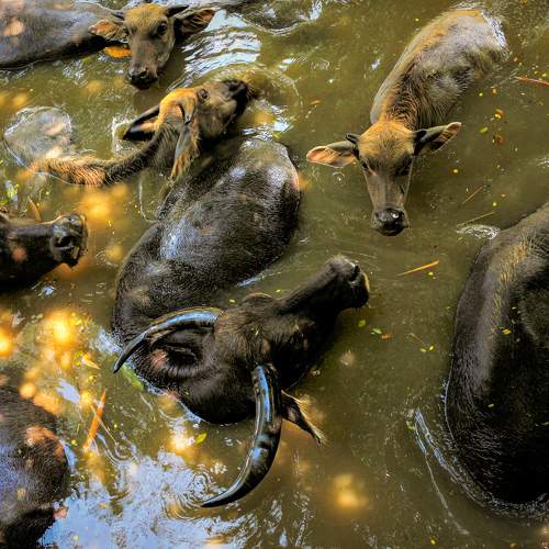 Photo #5978349