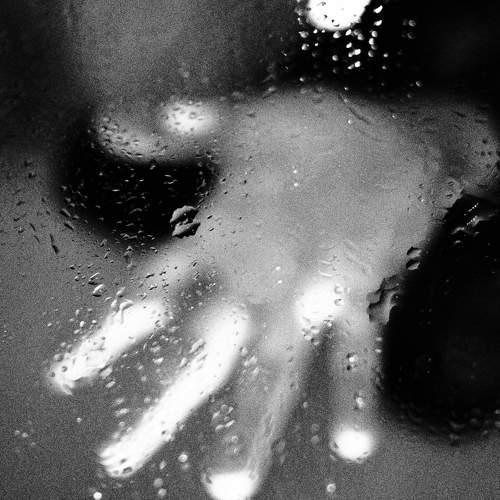 Photo #5978993