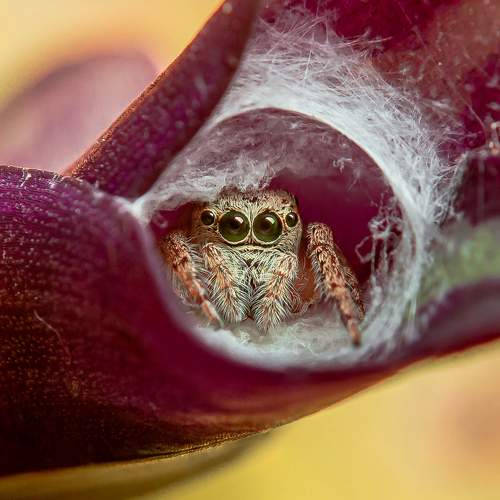 Photo #5979076