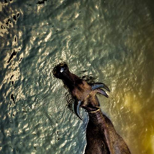 Photo #5979077