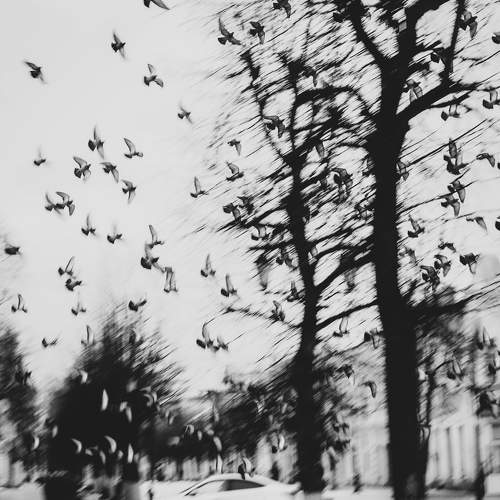Photo #5979622