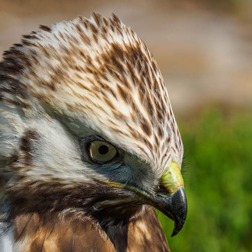 Photo #5980665
