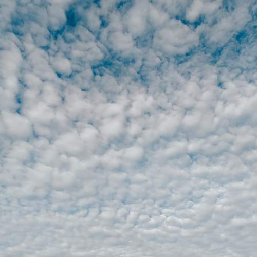 Photo #5980821