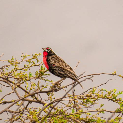 Photo #5981436