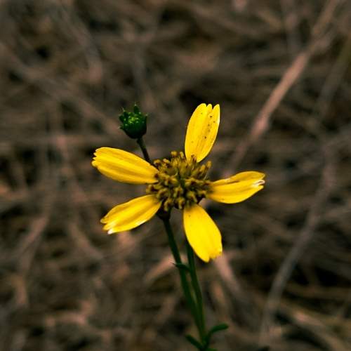 Photo #5981473