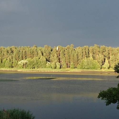 Photo #5981682