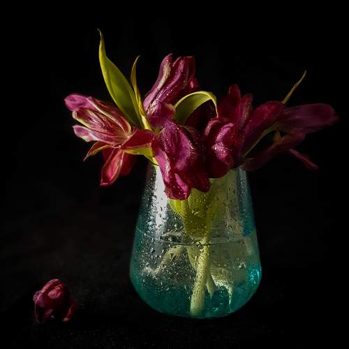 Photo #5981904