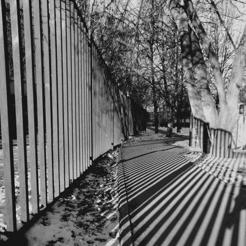 Photo #5981977