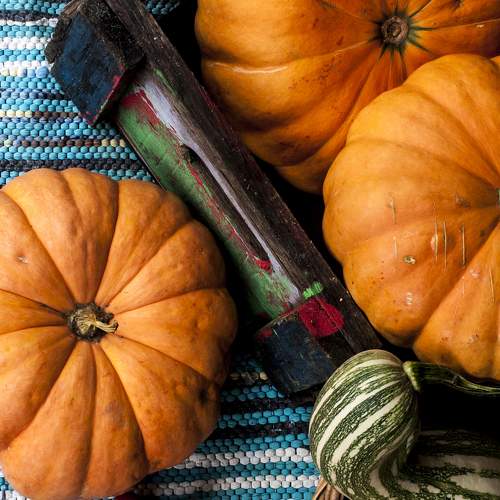 Photo #5982693