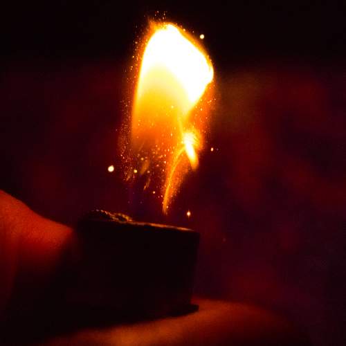 Photo #5982708
