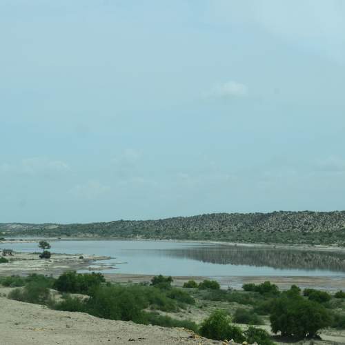 Photo #5982854
