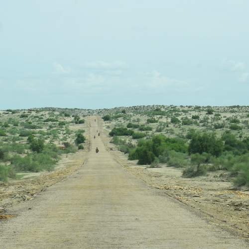 Photo #5982856