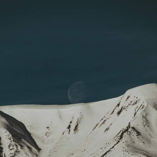 Photo #5983685