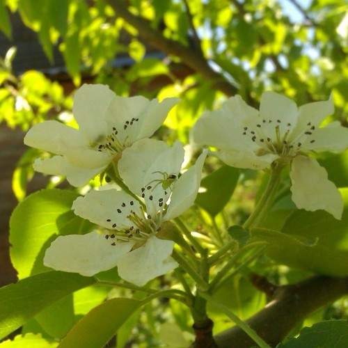Photo #5984020