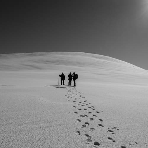 Photo #5984113