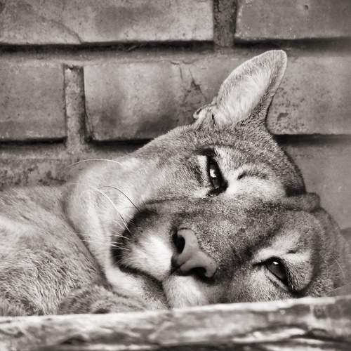 Photo #5984937