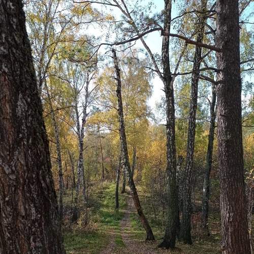 Photo #5985090