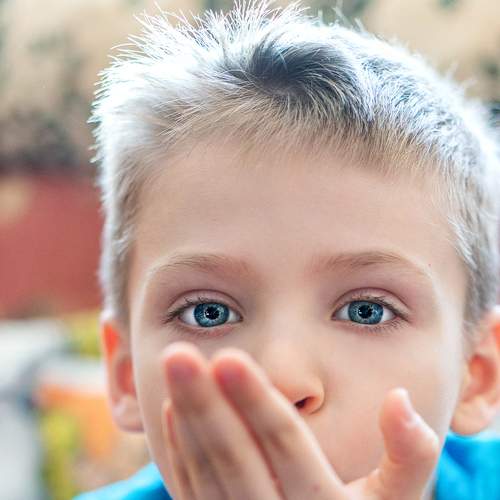 Photo #5985092