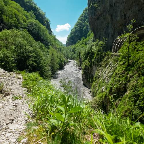 Photo #5985312