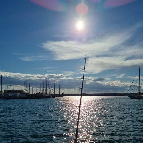 Photo #5985346