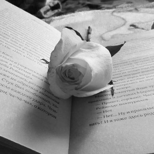 Photo #5985406