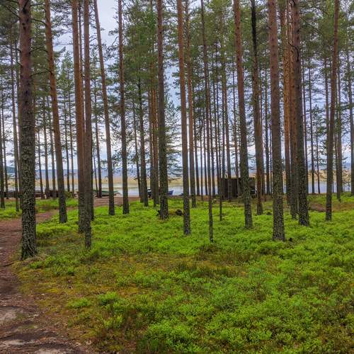 Photo #5985651