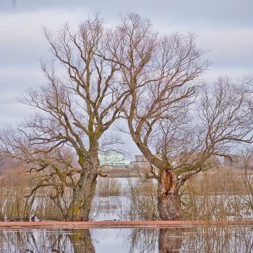 Photo #5986293